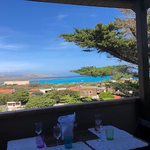 Conchiglia Di Vista Mare Stintino