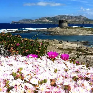 Velalatina Stintino